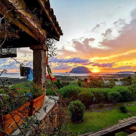 Villa Acchiappasogni Porto San Paolo  Ngoại thất bức ảnh
